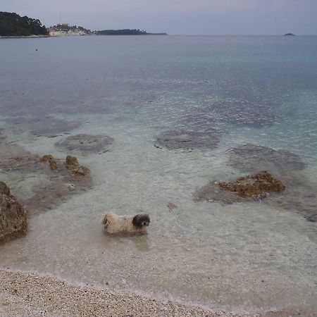 Apartments Mirta Rovinj Bagian luar foto