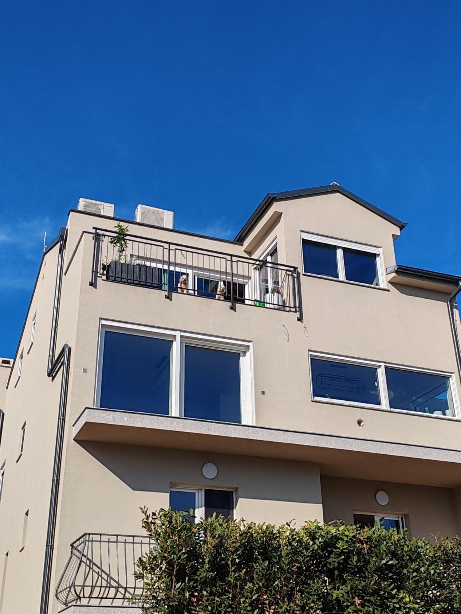Apartments Mirta Rovinj Bagian luar foto